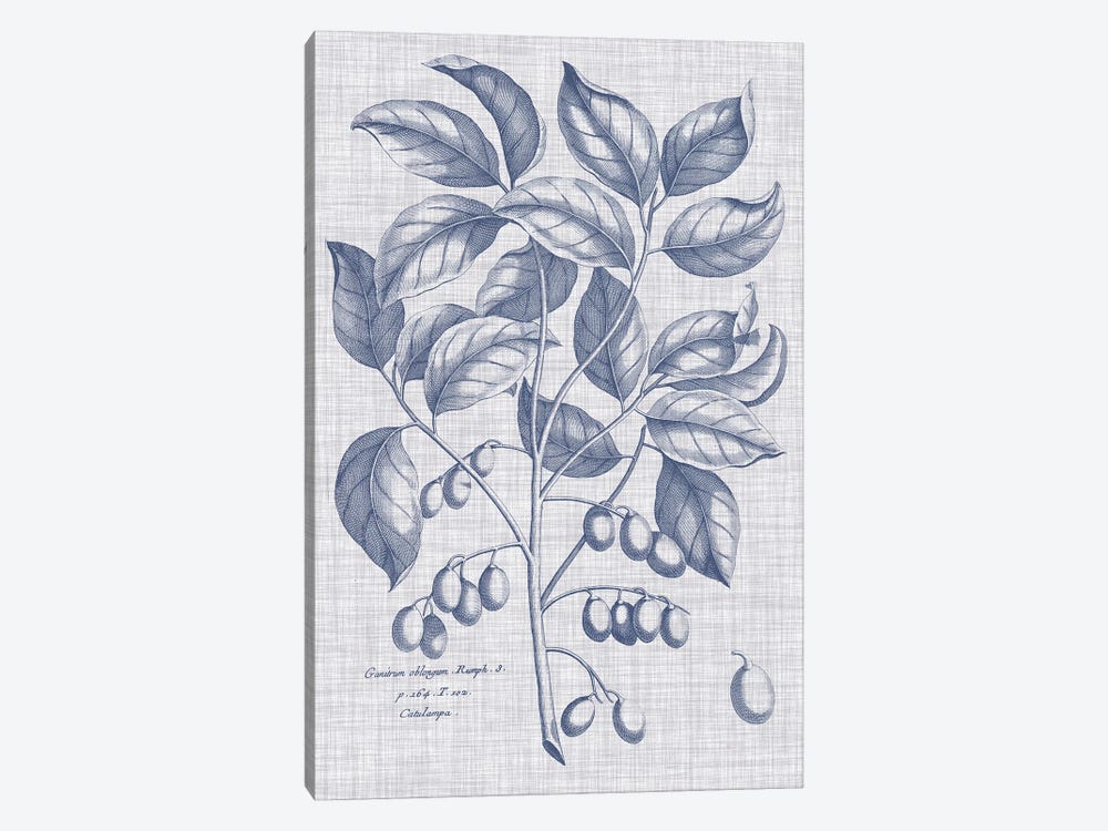 Navy & Linen Botanical II by Vision Studio 1-piece Art Print