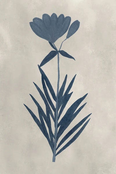 Navy Pressed Flowers I by Vision Studio canvas print