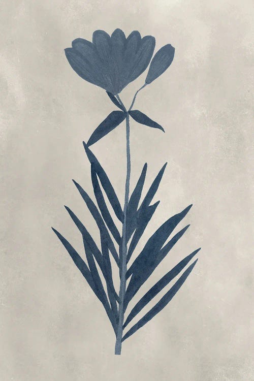 Navy Pressed Flowers I by Vision Studio wall art