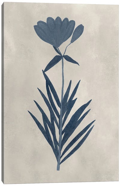 Navy Pressed Flowers I Canvas Art Print - Vision Studio