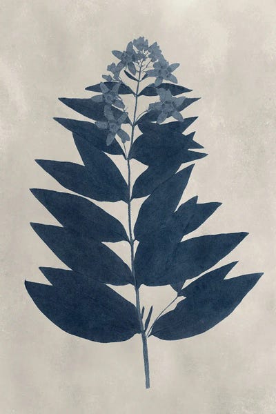 Navy Pressed Flowers IV by Vision Studio canvas print