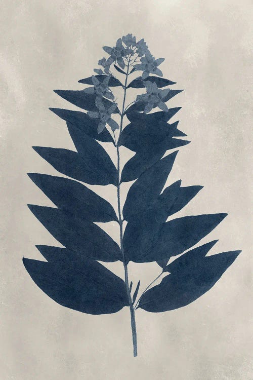 Navy Pressed Flowers IV by Vision Studio wall art