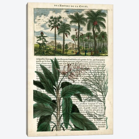 Journal Of The Tropics I Canvas Print #VSN78} by Vision Studio Canvas Print