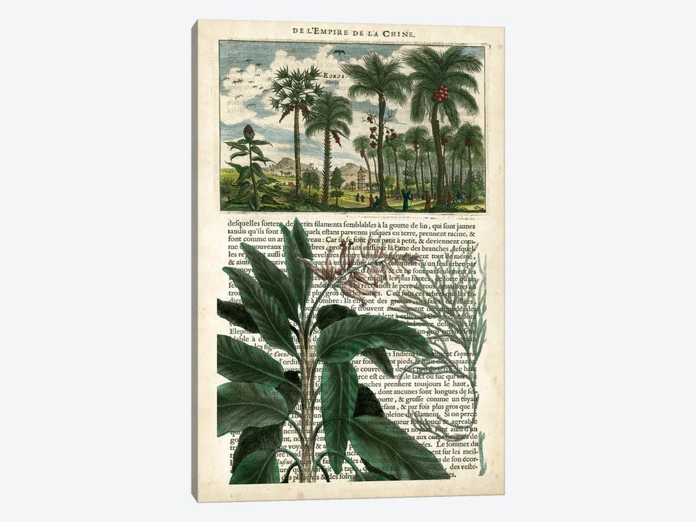 Journal Of The Tropics I by Vision Studio 1-piece Canvas Art Print