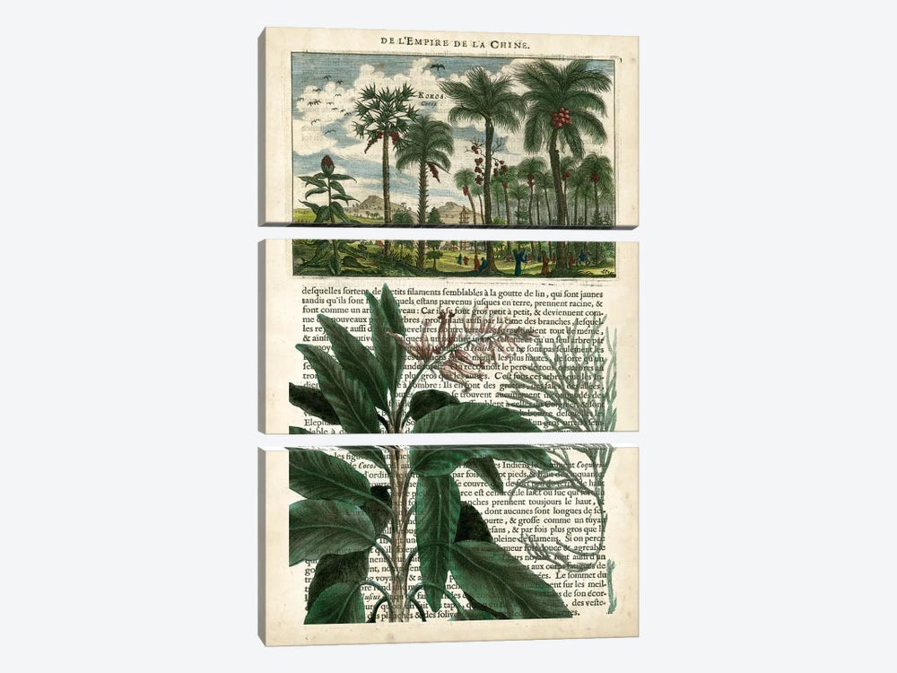 Journal Of The Tropics I 3-piece Canvas Print