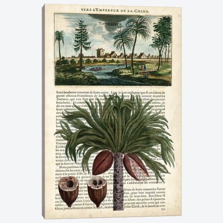 Journal Of The Tropics IV Canvas Print #VSN81} by Vision Studio Canvas Wall Art