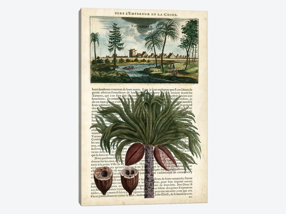 Journal Of The Tropics IV by Vision Studio 1-piece Canvas Print