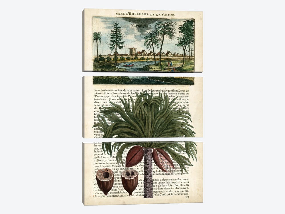 Journal Of The Tropics IV by Vision Studio 3-piece Canvas Art Print