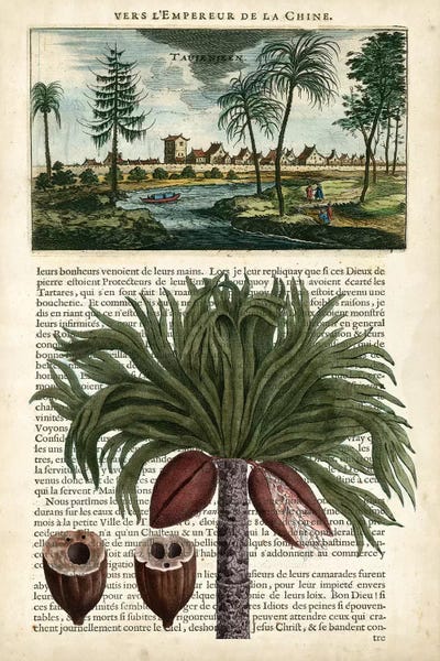 Tropical Leaves: Journal Of The Tropics IV by Vision Studio