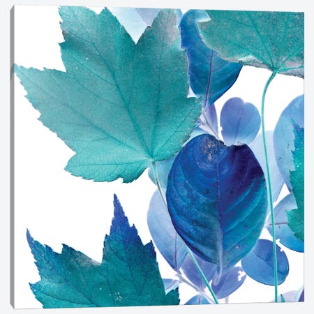 X-ray Leaves IV Canvas Print #VSN94} by Vision Studio Canvas Art