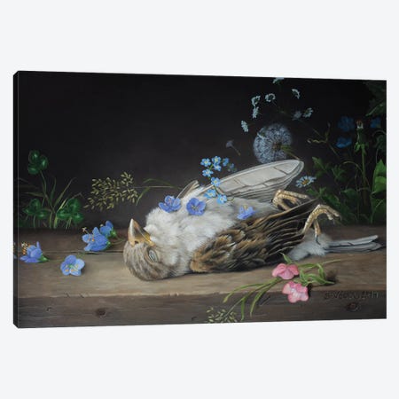 Dead Sparrow Canvas Print #VSS12} by Suzan Visser Canvas Artwork