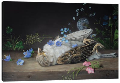 Dead Sparrow Canvas Art Print - Sparrow Art