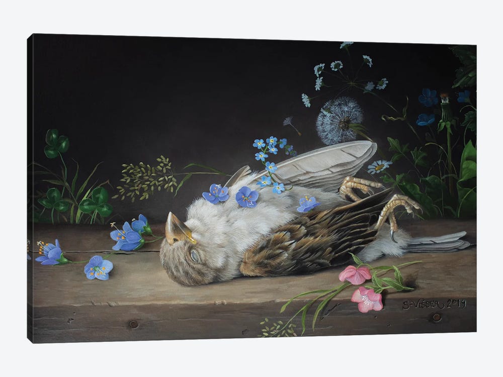 Dead Sparrow by Suzan Visser 1-piece Canvas Print