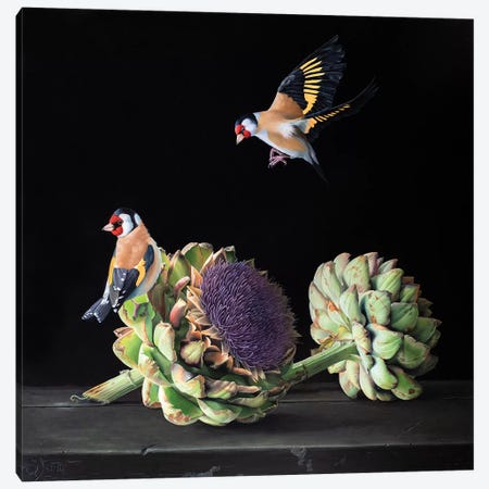 Goldfinch Delight I Canvas Print #VSS17} by Suzan Visser Canvas Print