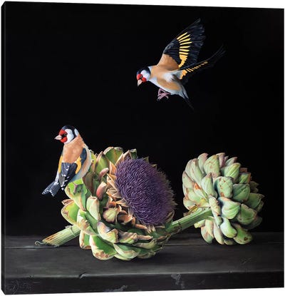Goldfinch Delight I Canvas Art Print