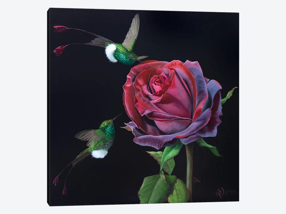 Velvet Rose And Hummingbirds by Suzan Visser 1-piece Canvas Print
