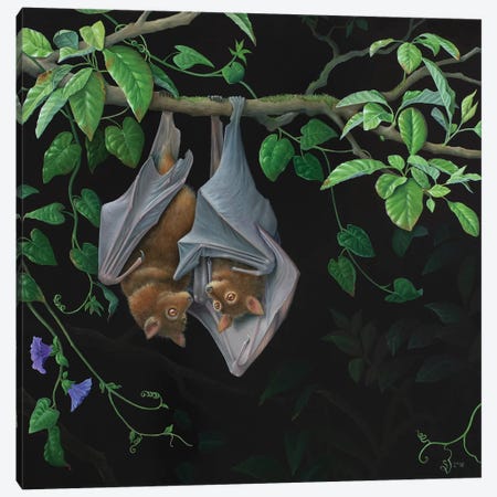 Hanging Around Canvas Print #VSS32} by Suzan Visser Canvas Wall Art