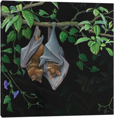 Hanging Around Canvas Art Print - Bat Art