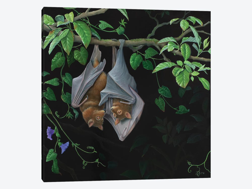 Hanging Around by Suzan Visser 1-piece Canvas Print