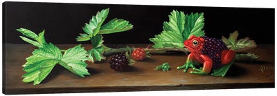 Blackberry Frog Canvas Art Print - Berries