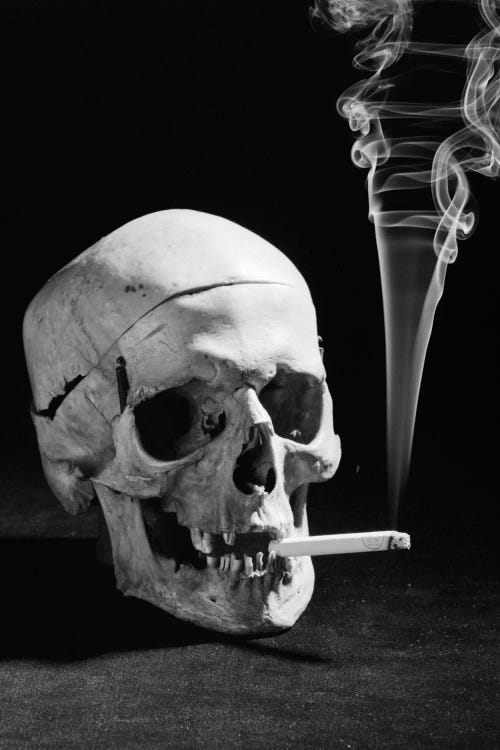 1930s Human Skull Smoking A Cigarette