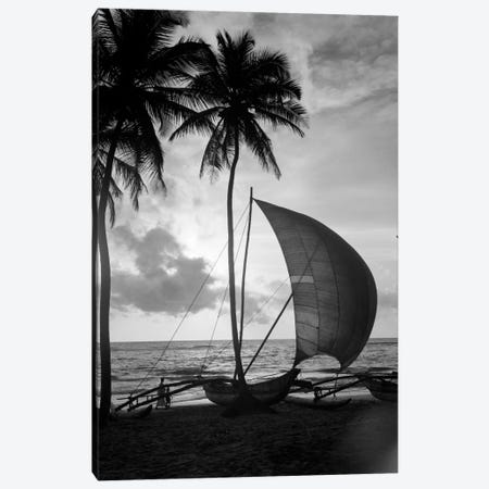 1930s Single Catamaran On Tropical Beach At Sunset Palm Trees Sri Lanka Canvas Print #VTG129} by Vintage Images Canvas Art Print