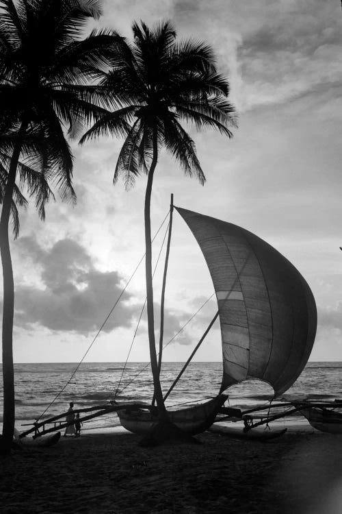 1930s Single Catamaran On Tropical Beach At Sunset Palm Trees Sri Lanka