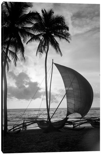 1930s Single Catamaran On Tropical Beach At Sunset Palm Trees Sri Lanka Canvas Art Print - Sailboat Art