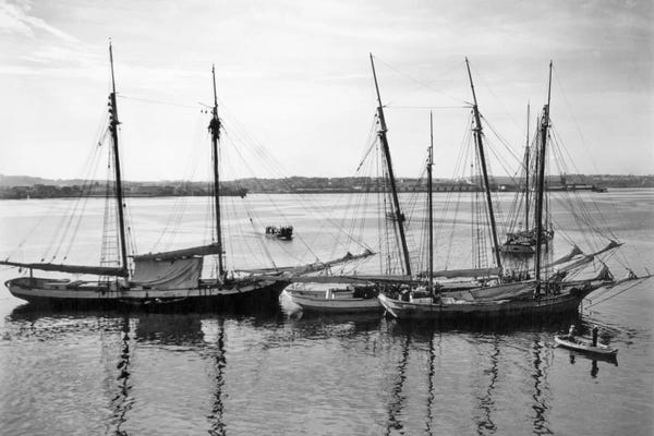 1930s-1940s Sailing Ships At Anchor Havana Harbor Cuba