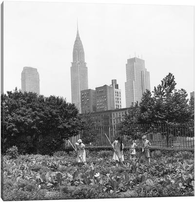 1940s-1943 Children Working In Victory Gardens In St. Gabriel's Park New York City Chrysler Building Visible In Background Canvas Art Print - Vintage Images
