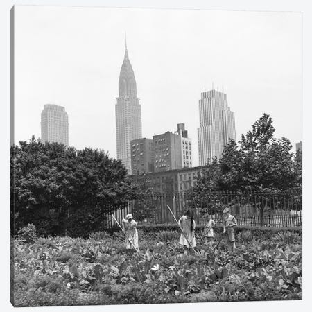 1940s-1943 Children Working In Victory Gardens In St. Gabriel's Park New York City Chrysler Building Visible In Background Canvas Print #VTG241} by Vintage Images Canvas Artwork