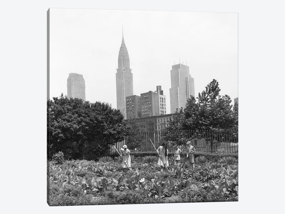1940s-1943 Children Working In Victory Gardens In St. Gabriel's Park New York City Chrysler Building Visible In Background by Vintage Images 1-piece Canvas Wall Art