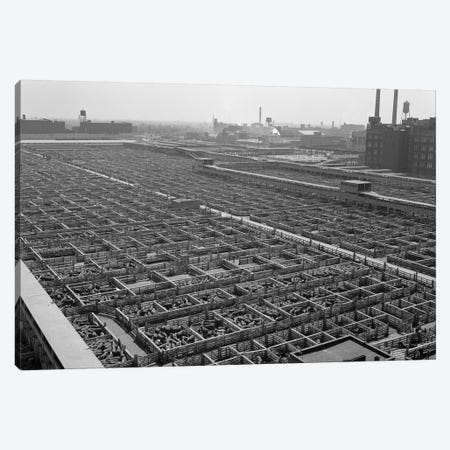 1950s Aerial View Of Cattle Pens At The Union Stock Yard & Transit Company Chicago Il USA Canvas Print #VTG267} by Vintage Images Canvas Art Print