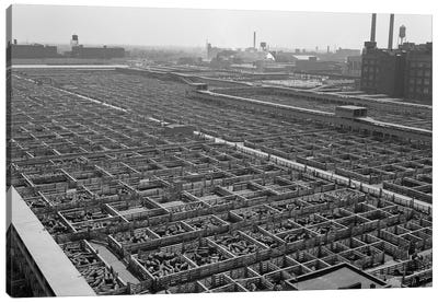1950s Aerial View Of Cattle Pens At The Union Stock Yard & Transit Company Chicago Il USA Canvas Art Print - Illinois Art