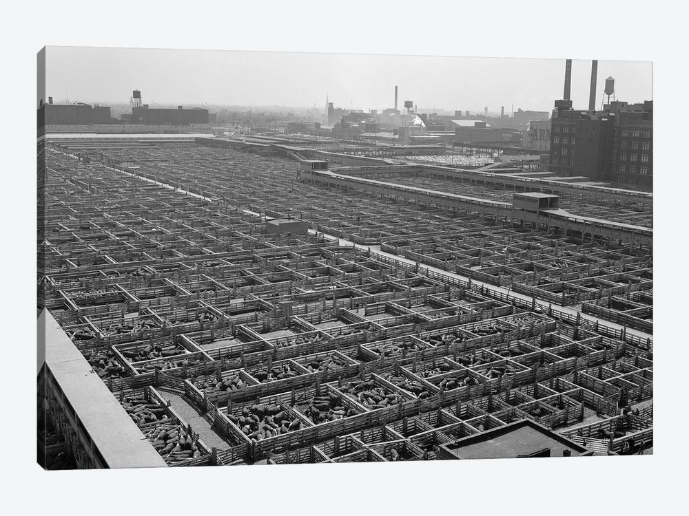 1950s Aerial View Of Cattle Pens At The Union Stock Yard & Transit Company Chicago Il USA by Vintage Images 1-piece Canvas Artwork