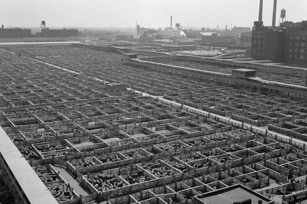 Illinois: 1950s Aerial View Of Cattle Pens At The Union Stock Yard & Transit Company Chicago Il USA by Vintage Images