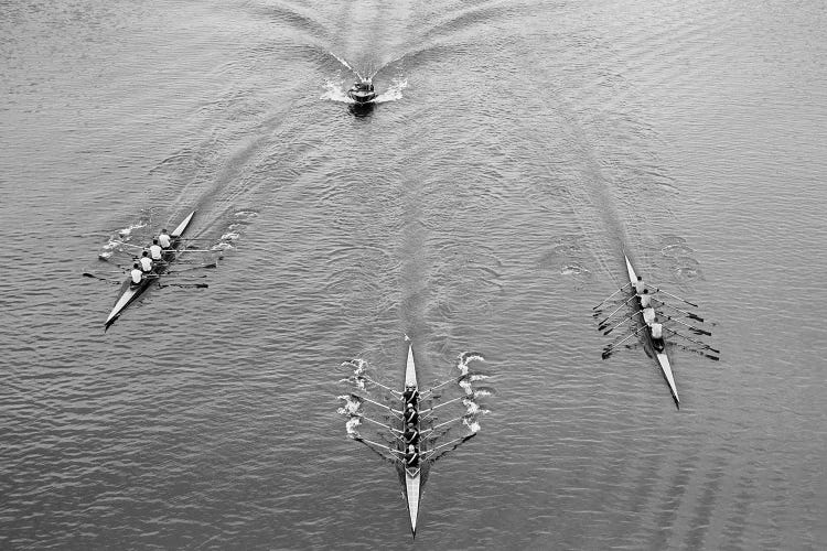 1950s Aerial View Of Rowing Competition