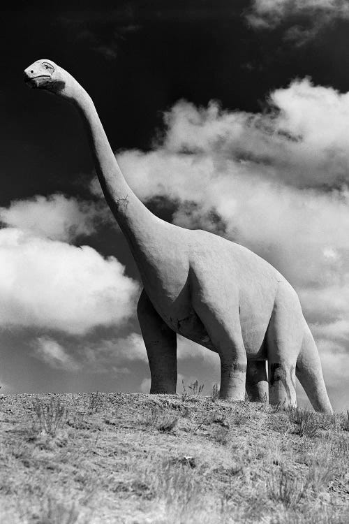 1950s Life-Size Statue Of Extinct Long Neck Gigantic Brontosaurus Dinosaur Park Established 1936 Rapid City South Dakota USA by Vintage Images wall art