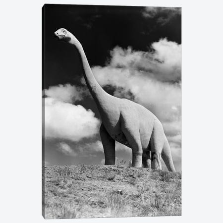 1950s Life-Size Statue Of Extinct Long Neck Gigantic Brontosaurus Dinosaur Park Established 1936 Rapid City South Dakota USA Canvas Print #VTG302} by Vintage Images Canvas Print