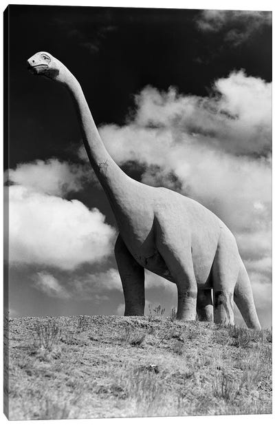 1950s Life-Size Statue Of Extinct Long Neck Gigantic Brontosaurus Dinosaur Park Established 1936 Rapid City South Dakota USA Canvas Art Print - Dinosaur Art