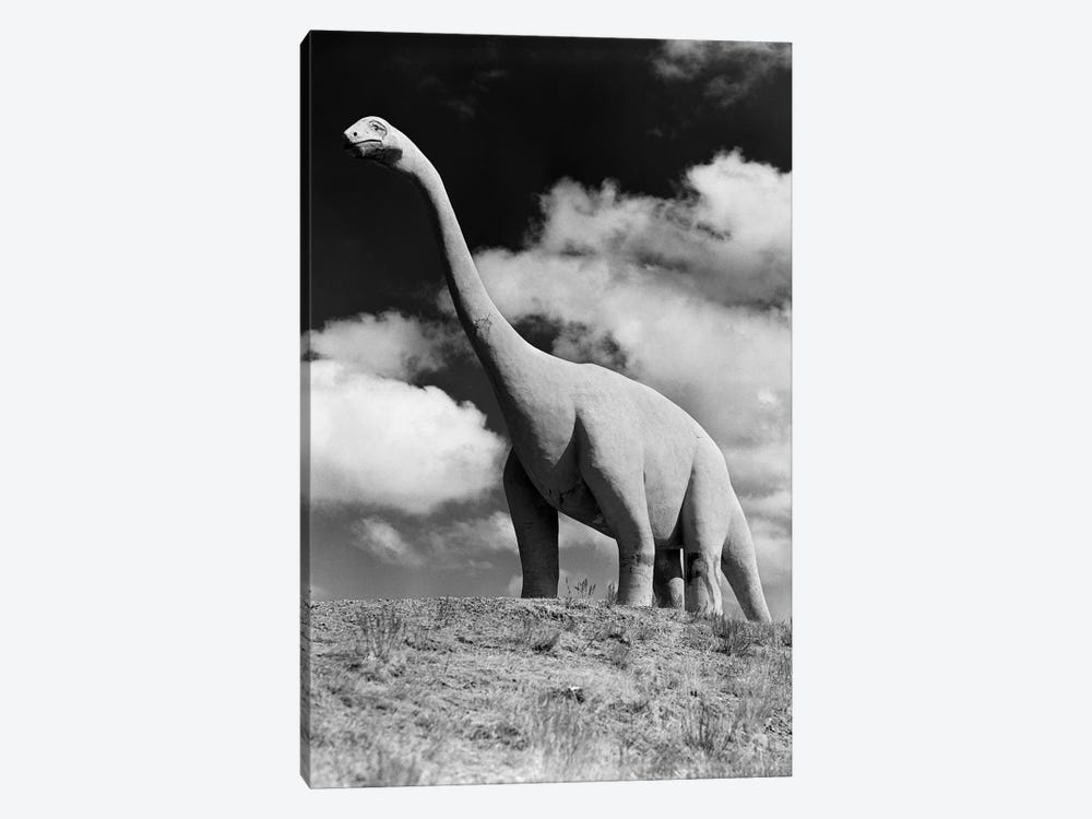 1950s Life-Size Statue Of Extinct Long Neck Gigantic Brontosaurus Dinosaur Park Established 1936 Rapid City South Dakota USA by Vintage Images 1-piece Canvas Wall Art