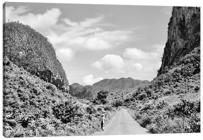 1950s Rural Road Outside Of Town Of Vinales In Pinar del Rio Province Cuba Canvas Art Print - Vintage Images