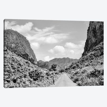 1950s Rural Road Outside Of Town Of Vinales In Pinar del Rio Province Cuba Canvas Print #VTG338} by Vintage Images Canvas Art