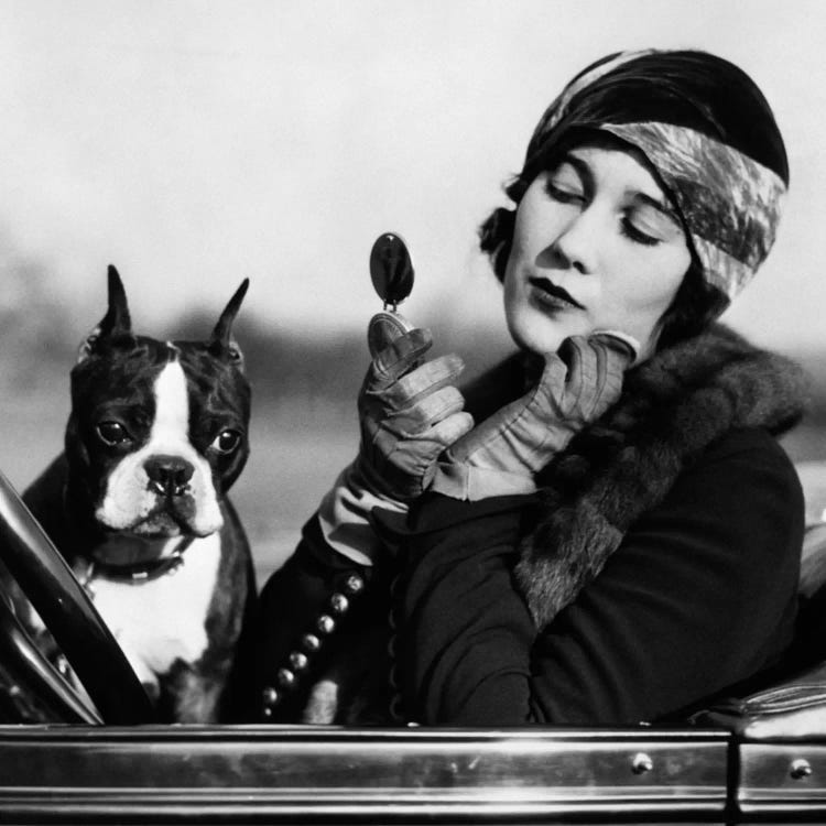 1920s Flapper In Convertible Powdering Her Cheek In Mirror With Boston Bulldog In Her Lap