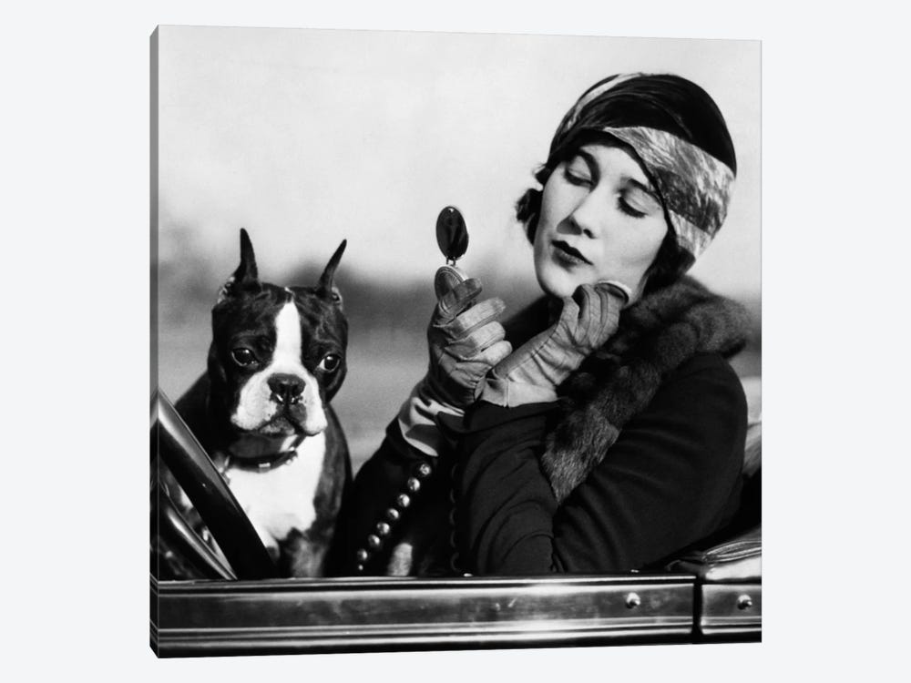 1920s Flapper In Convertible Powdering Her Cheek In Mirror With Boston Bulldog In Her Lap by Vintage Images 1-piece Canvas Print