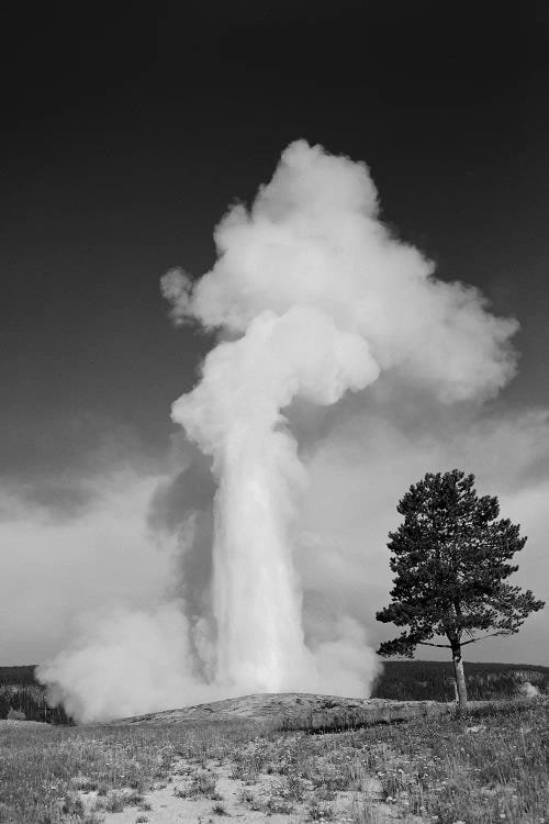 1960s Old Faithful Geyser Erupting Yellowstone National Park