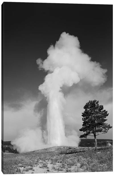 1960s Old Faithful Geyser Erupting Yellowstone National Park Canvas Art Print - Vintage Images