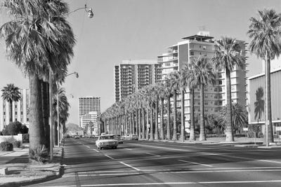 1960s Rows Of Palm Trees Central Avenue Phoenix AZ USA by Vintage Images framed wall art