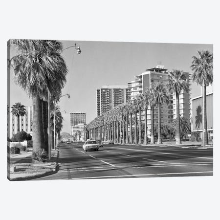 1960s Rows Of Palm Trees Central Avenue Phoenix AZ USA Canvas Print #VTG456} by Vintage Images Canvas Artwork