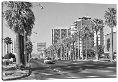 1960s Rows Of Palm Trees Central Avenue Phoenix AZ USA Canvas Art Print - Phoenix Art
